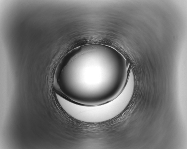 X0000096431153200801311427
