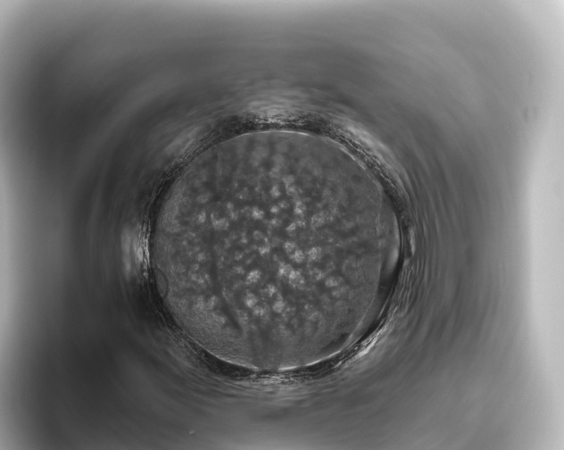 X0000096431155200801311427