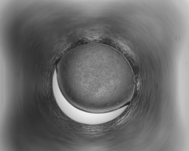 X0000096431156200801311427