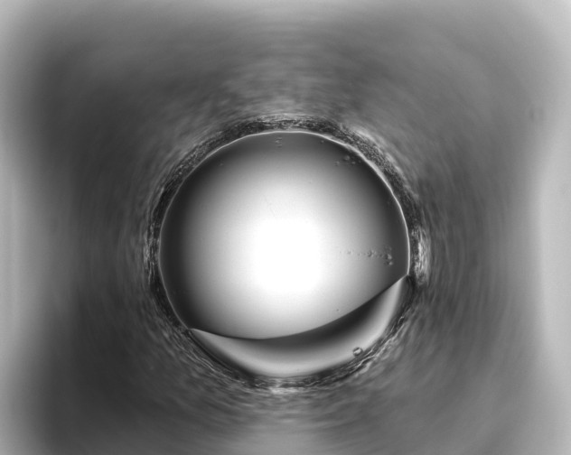 X0000096431157200801311426