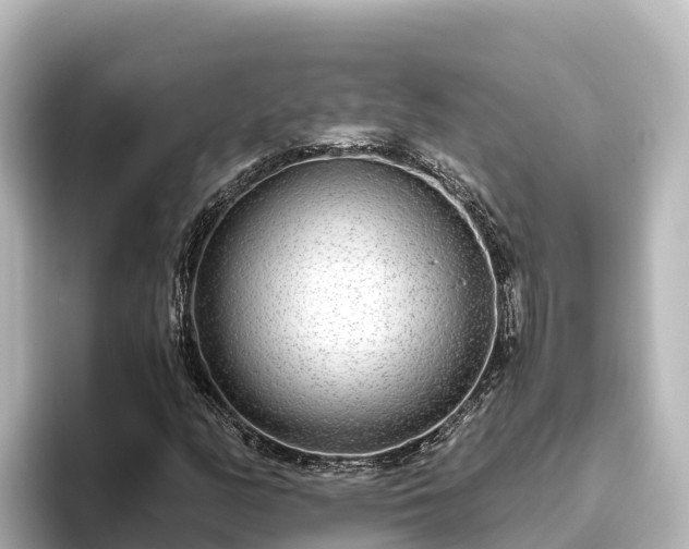 X0000096431158200801311426
