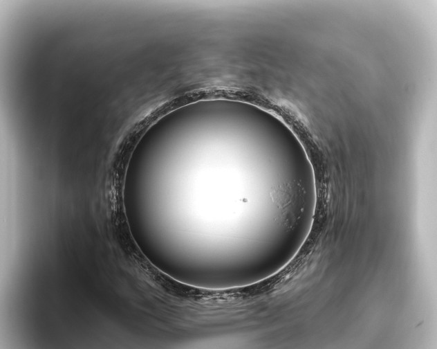 X0000096431159200801311426