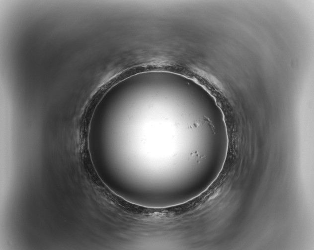 X0000096431160200801311426