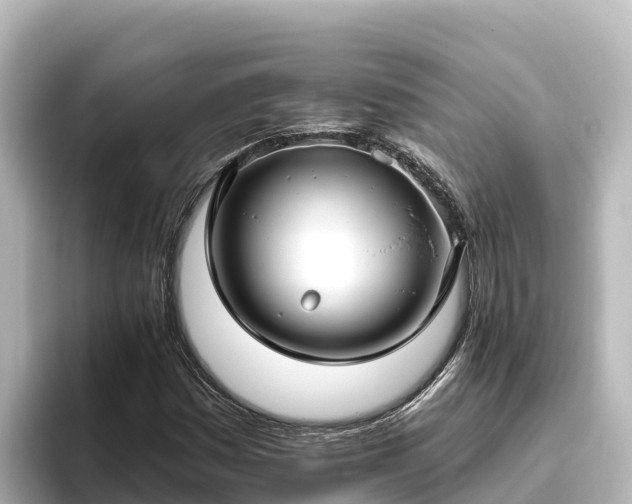 X0000096431161200801311426
