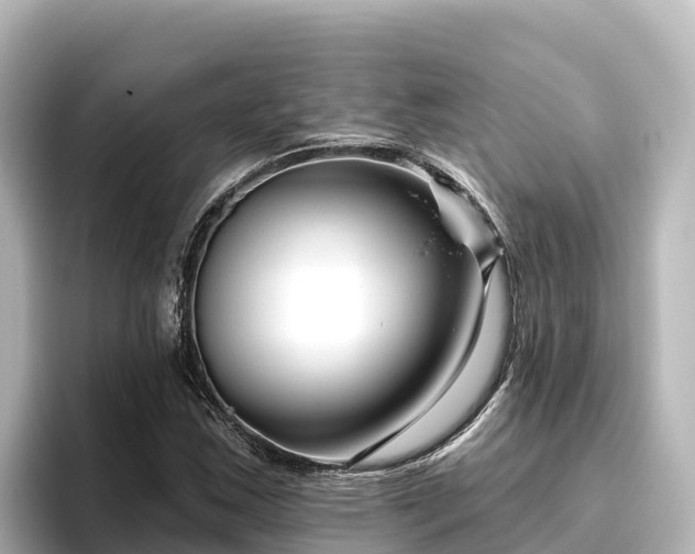 X0000096431163200801311426