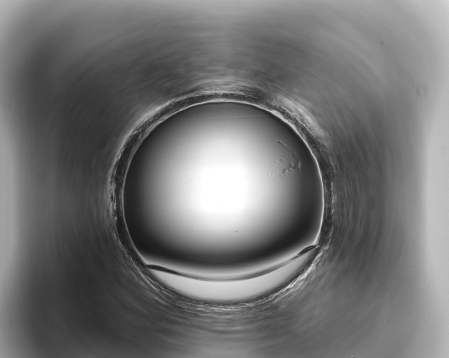 X0000096431164200801311426