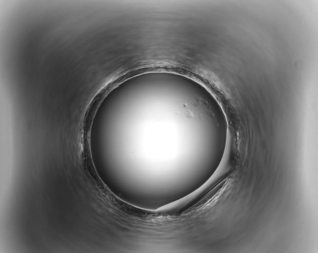 X0000096431165200801311426