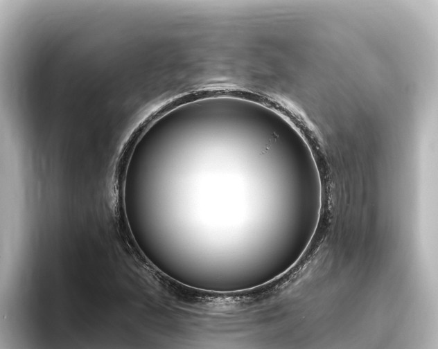 X0000096431167200801311426