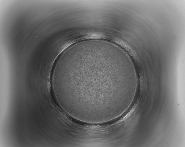 X0000096431170200801311426