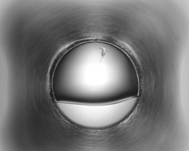 X0000096431172200801311426