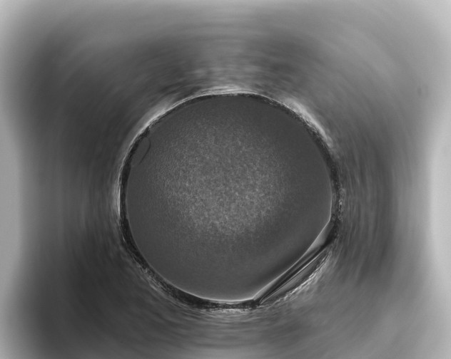 X0000096431173200801311426