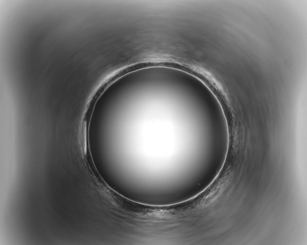 X0000096431175200801311426