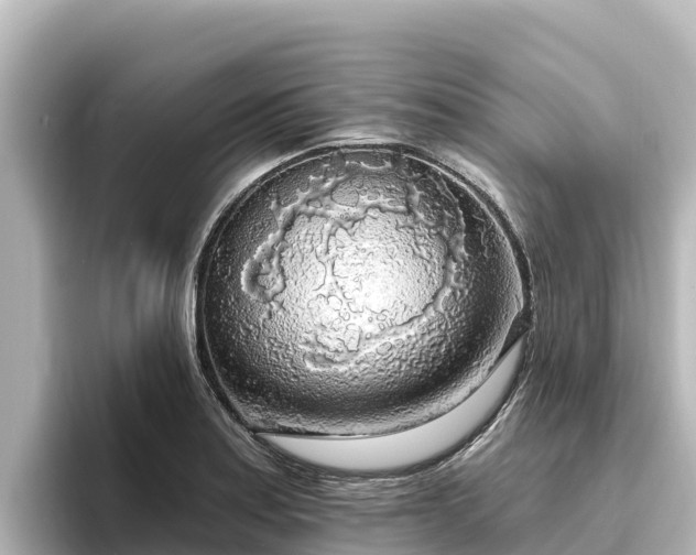 X0000096431179200801311426