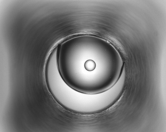 X0000096431180200801311426