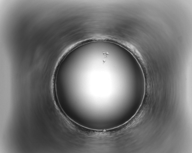 X0000096431183200801311426