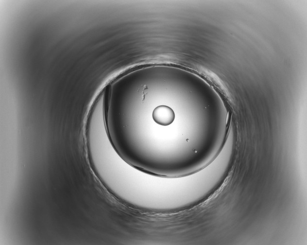 X0000096431184200801311426