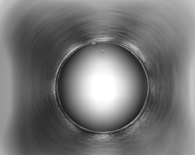 X0000096431186200801311426
