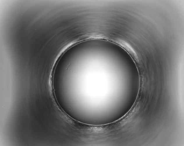 X0000096431190200801311426