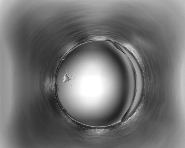 X0000096431193200801311426