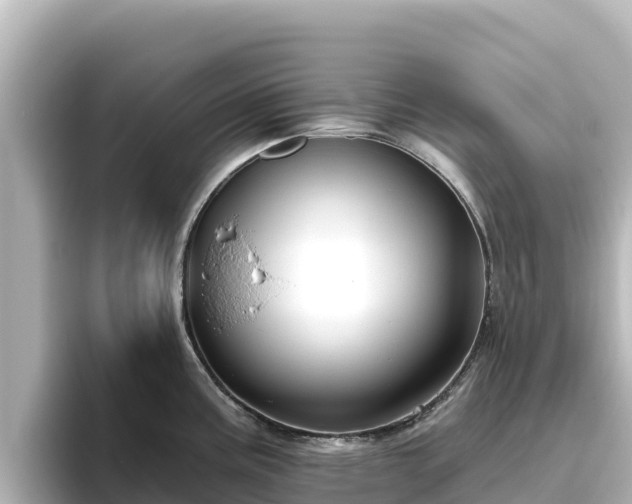 X0000096431195200801311426