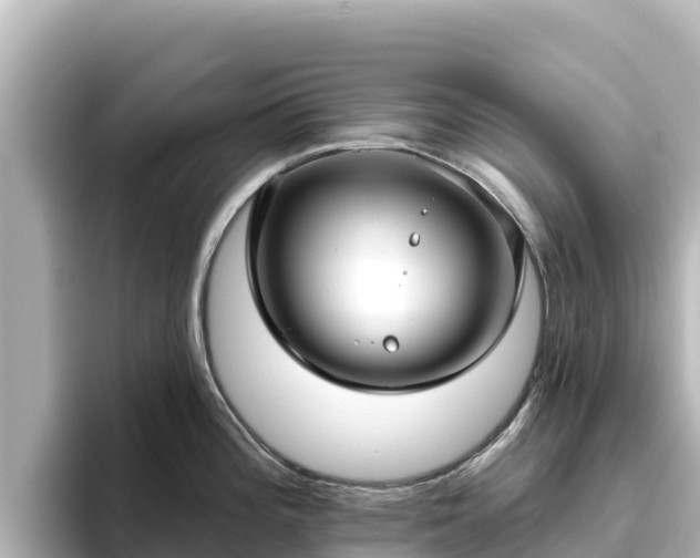 X0000096431196200801311426