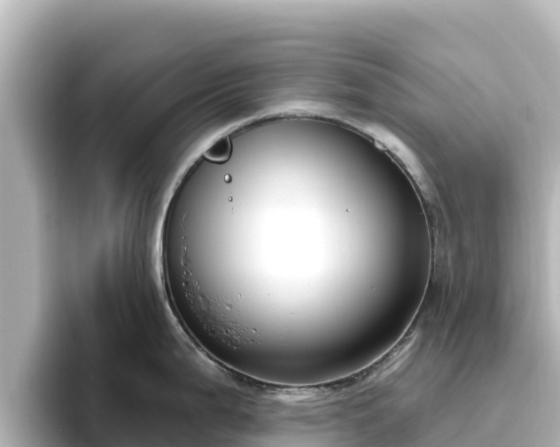 X0000096431199200801311426