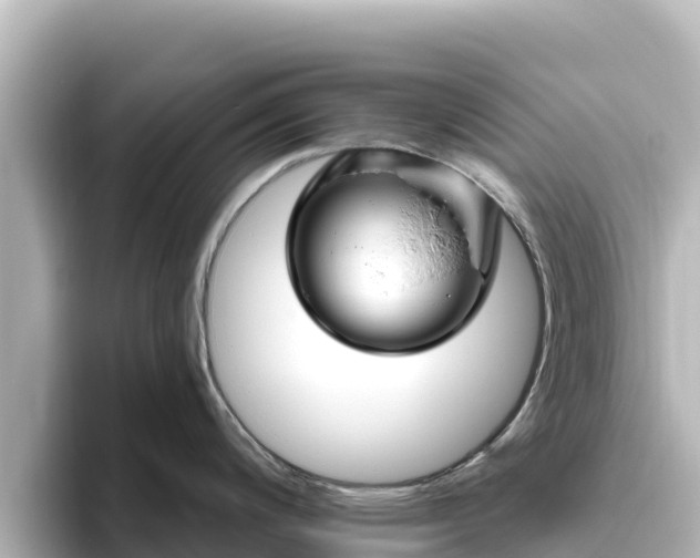 X0000096431200200801311426