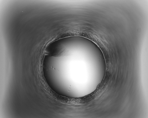 X0000096431201200801311425