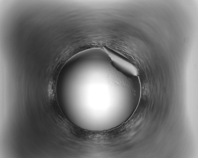 X0000096431202200801311425