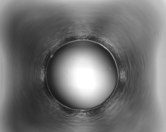 X0000096431204200801311425