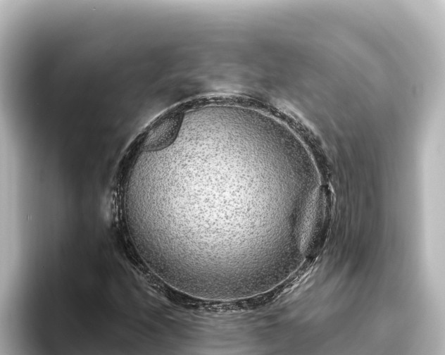 X0000096431208200801311425