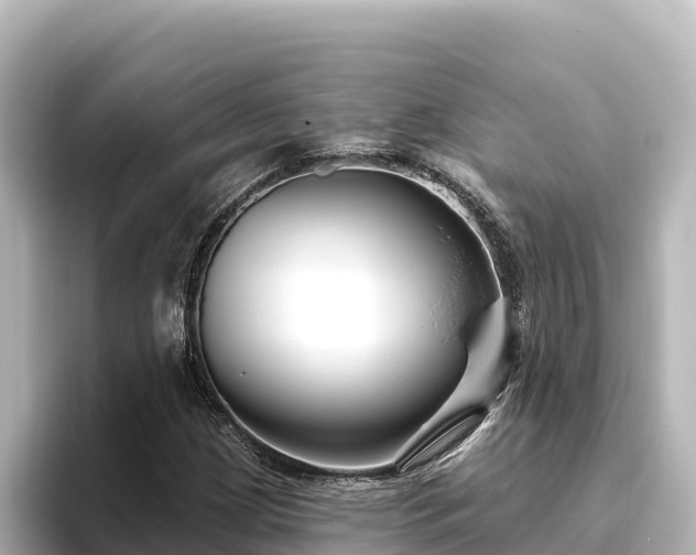 X0000096431209200801311425