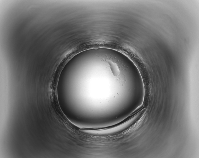 X0000096431210200801311425