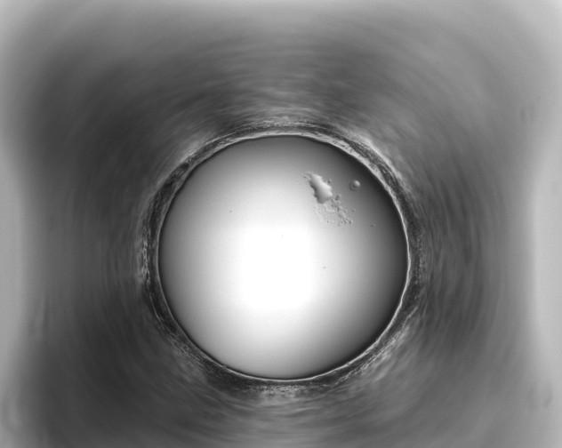 X0000096431211200801311425