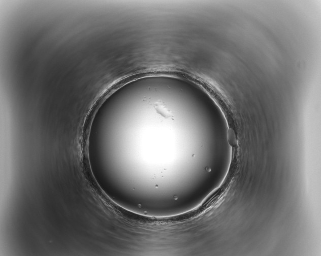 X0000096431212200801311425