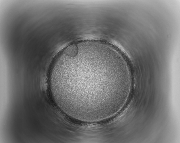 X0000096431213200801311425