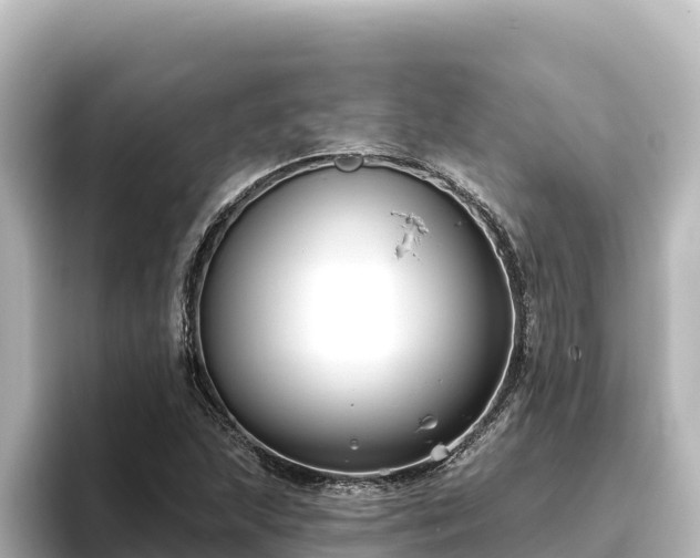 X0000096431215200801311425