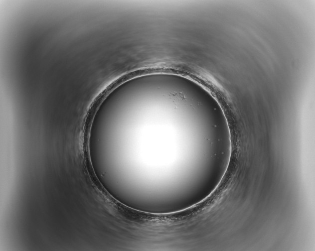 X0000096431216200801311426