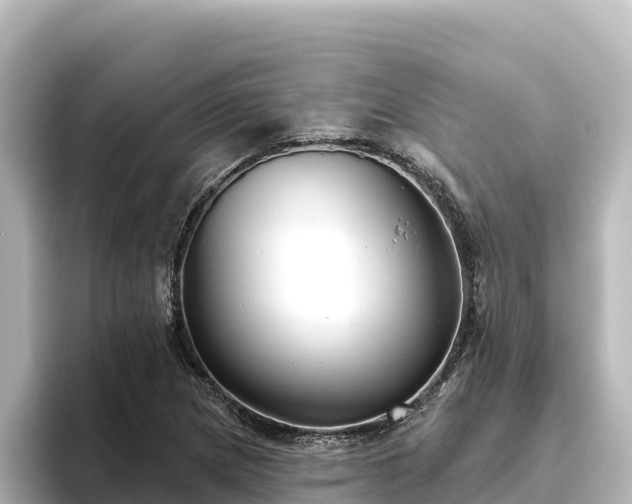 X0000096431217200801311426