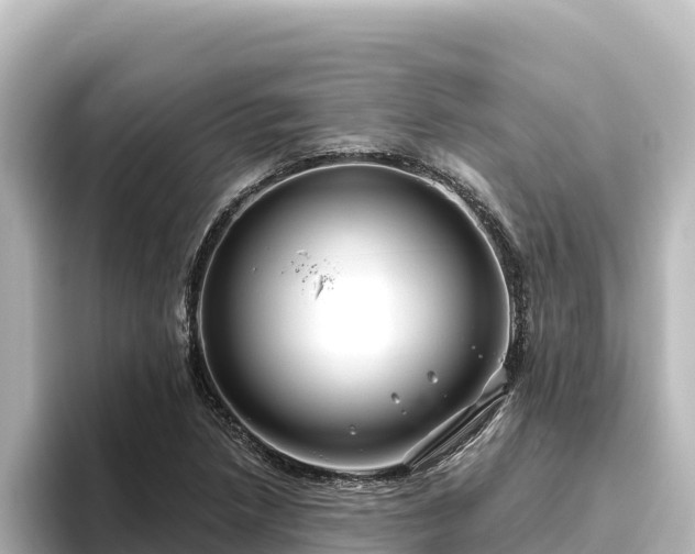 X0000096431218200801311426