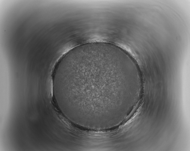X0000096431219200801311426