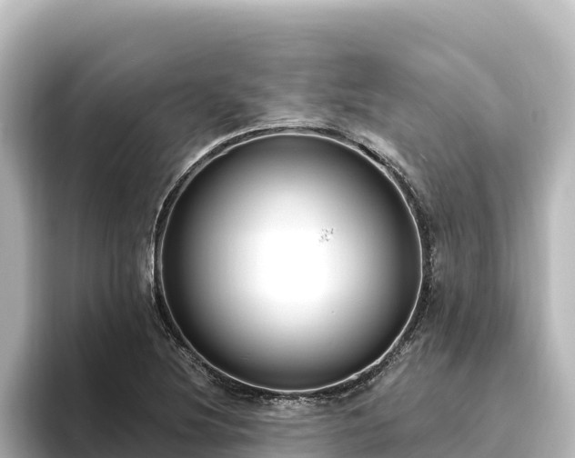X0000096431220200801311426