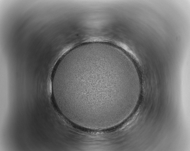 X0000096431221200801311426