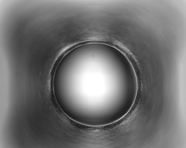 X0000096431222200801311426