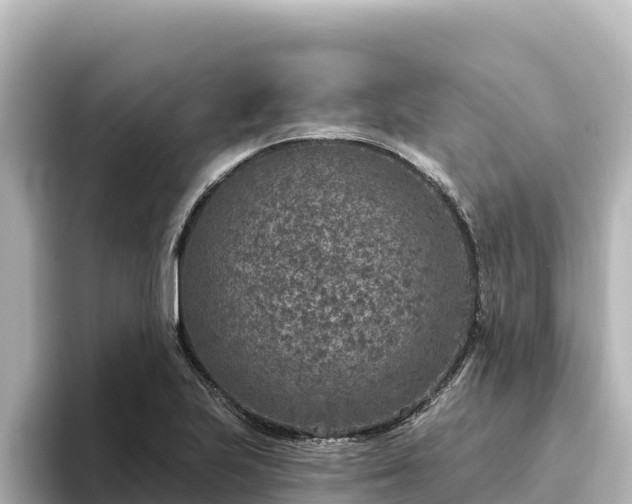 X0000096431223200801311426