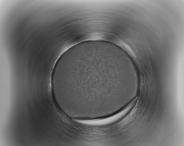 X0000096431226200801311426