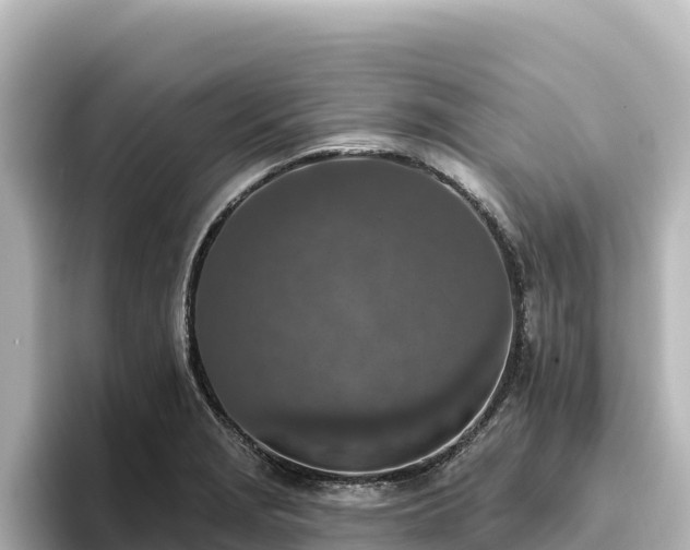 X0000096431229200801311426
