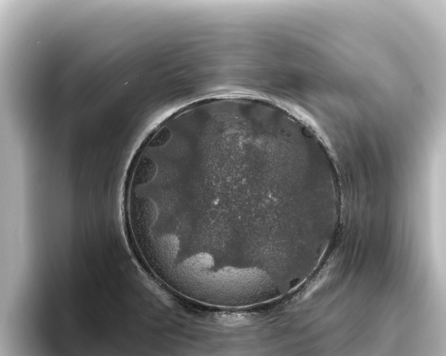 X0000096431231200801311426