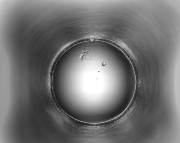 X0000096431232200801311426