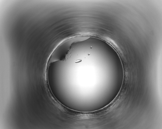X0000096431236200801311426